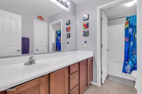Bath - 3029 E Patrick St, Gilbert, AZ 85295 photo 4 of 4