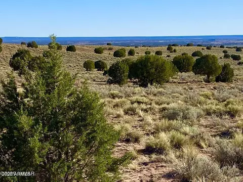 River Meadows Ranch Unit 3 Lot 204 -- #-, Concho, AZ 85924