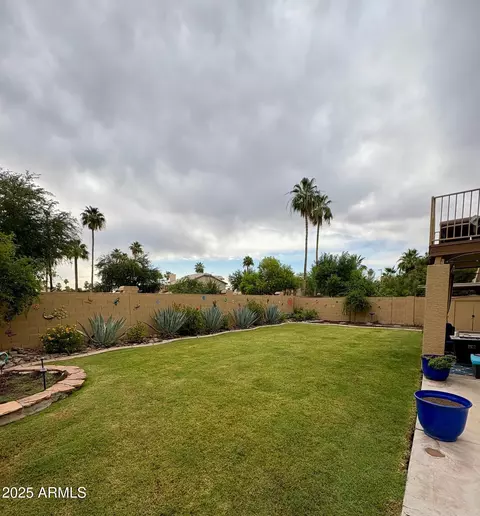 135 S Abalone Dr, Gilbert, AZ 85233 photo 7