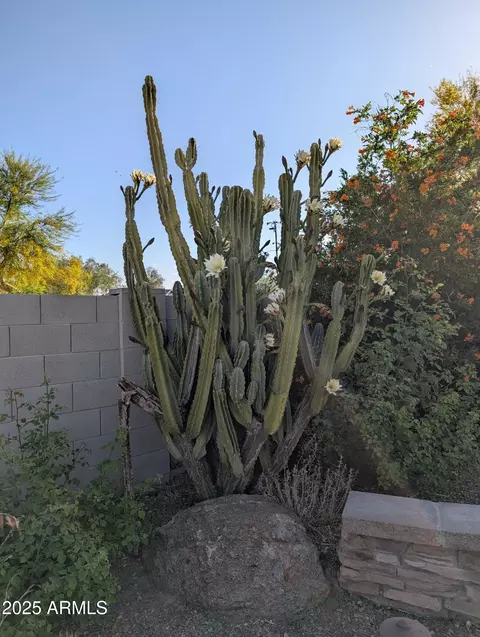 4038 E Wrangler Ct, Gilbert, AZ 85297 photo 46
