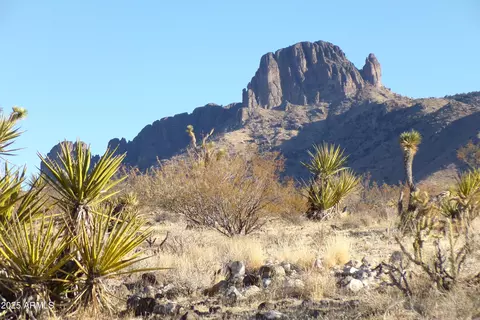lot550 N Manor St #550, Dolan Springs, AZ 86441