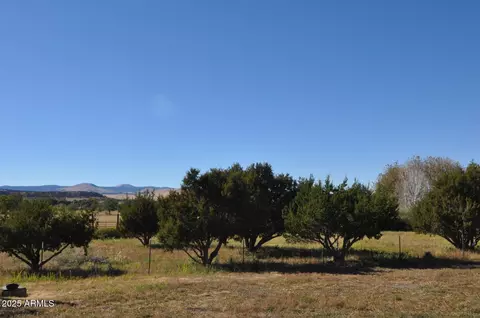 450 W 6th St, Eagar, AZ 85925 photo 37