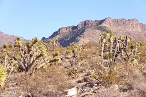 17096 N Manor Dr #451, Dolan Springs, AZ 86441