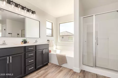 Bath - 3875 E Claxton Ave, Gilbert, AZ 85297 photo 1 of 5