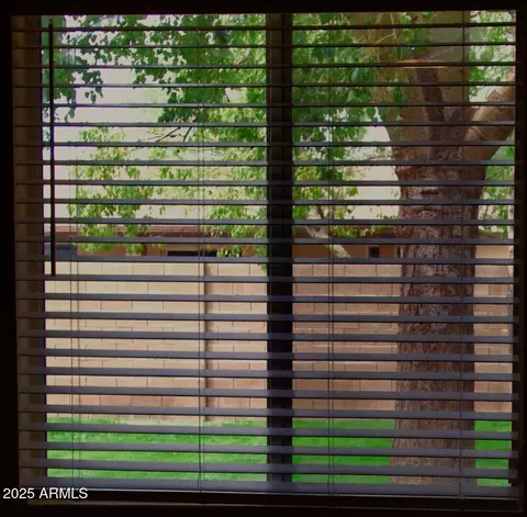 Other - 3216 E Campo Bello Dr, Phoenix, AZ 85032 photo 6 of 12
