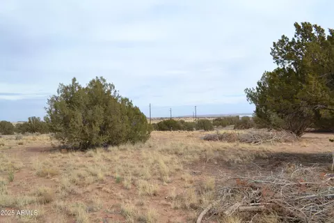 lot020 E D E 24th North St #020D, Snowflake, AZ 85937
