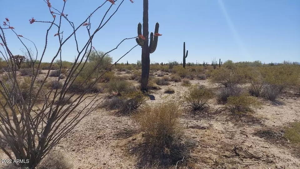  tbd N Wildwood Rd #'-', Florence, AZ 85132 photo 1