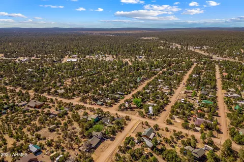 3575 Quail Run Rd, Overgaard, AZ 85933 photo 32
