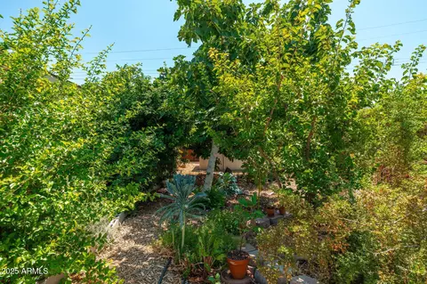 4629 N 9th St, Phoenix, AZ 85014 photo 25