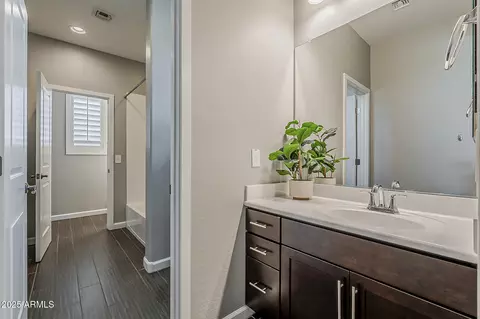 Bath - 3422 E Strawberry Dr, Gilbert, AZ 85298 photo 7 of 10