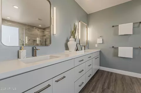 Bath - 3422 E Strawberry Dr, Gilbert, AZ 85298 photo 3 of 10