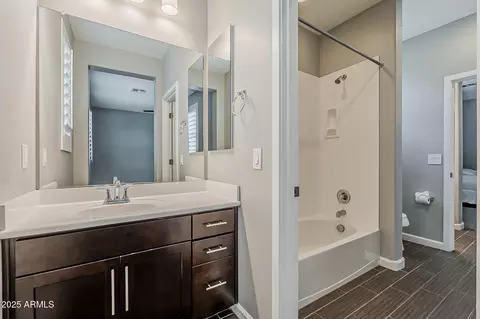 Bath - 3422 E Strawberry Dr, Gilbert, AZ 85298 photo 9 of 10