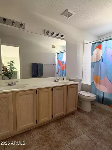 Bath - 16242 S 12th Pl, Phoenix, AZ 85048 photo 7 of 7