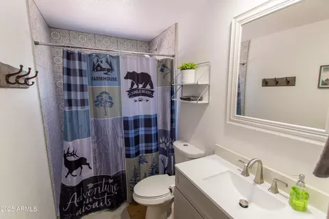 Bath - 3184 N Southard Dr, Pine, AZ 85544 photo 7 of 9