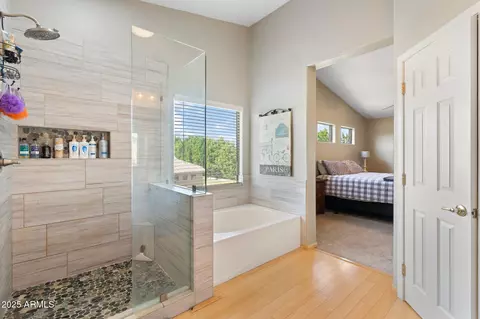 Bath - 1015 S 132nd St, Gilbert, AZ 85233 photo 3 of 7