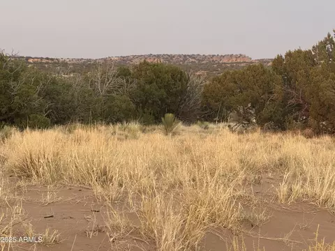 lot1041 Woodland Valley Rnch #1041, Saint Johns, AZ 85936