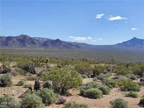 lot3076 W Gold Basin Dr #3076, Meadview, AZ 86444