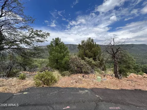 132 N Knob Hl #132, Pine, AZ 85544 photo 6