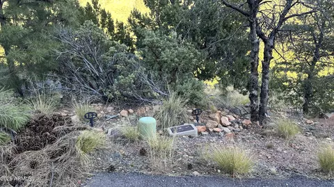132 N Knob Hl #132, Pine, AZ 85544 photo 13