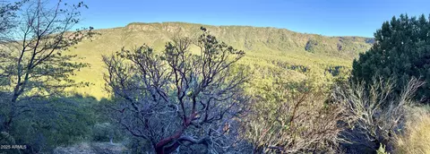 132 N Knob Hl #132, Pine, AZ 85544