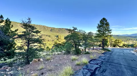 132 N Knob Hl #132, Pine, AZ 85544 photo 5