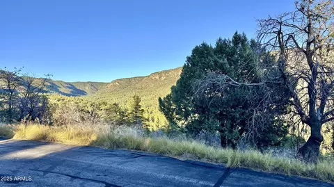 132 N Knob Hl #132, Pine, AZ 85544 photo 4
