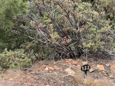 132 N Knob Hl #132, Pine, AZ 85544 photo 7