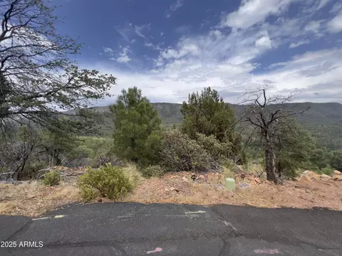 132 N Knob Hl #132, Pine, AZ 85544 photo 14