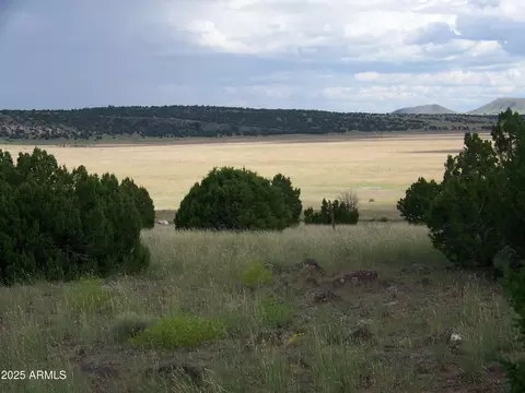 lot253 N8640 -- #253, Concho, AZ 85924