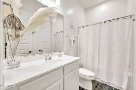 Bath - 9963 E Strobe Ave, Mesa, AZ 85212 photo 4 of 4