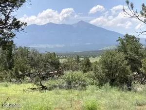 23320 Forest Service 548 Rd #0, Flagstaff, AZ 86001