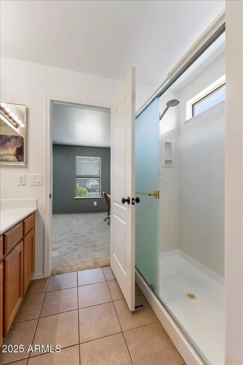 Bath - 9329 E Olla Ave, Mesa, AZ 85212 photo 3 of 3