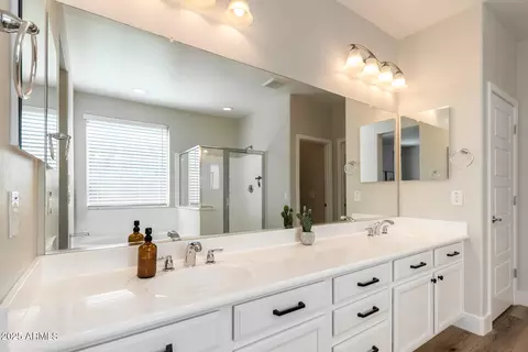 Bath - 9738 E Tumeric Ave, Mesa, AZ 85212 photo 1 of 3