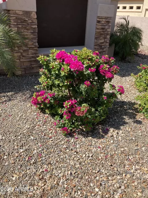 Exterior - 1085 E Oakland Ct, Gilbert, AZ 85295 photo 11 of 11