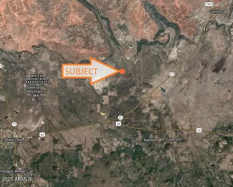 57 County Road N8060 -- #-, Concho, AZ 85924