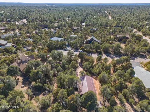 View/Area - 2273 Trail Cir, Overgaard, AZ 85933 photo 4 of 5