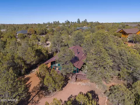 View/Area - 2273 Trail Cir, Overgaard, AZ 85933 photo 1 of 5