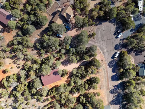 View/Area - 2273 Trail Cir, Overgaard, AZ 85933 photo 5 of 5