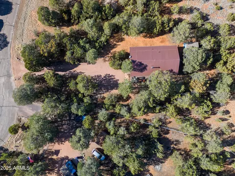 View/Area - 2273 Trail Cir, Overgaard, AZ 85933 photo 3 of 5