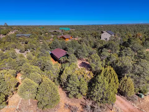 View/Area - 2273 Trail Cir, Overgaard, AZ 85933 photo 2 of 5