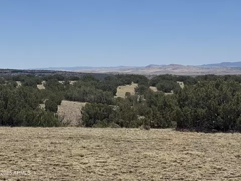 lot Big Six Rnch #9, Concho, AZ 85924