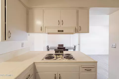 1124 S Longwood Loop, Mesa, AZ 85208 photo 5
