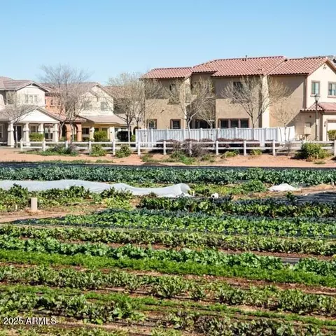 View/Area - 3037 E Hobart St, Gilbert, AZ 85296 photo 7 of 8