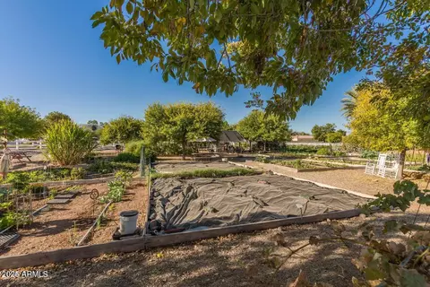 View/Area - 3037 E Hobart St, Gilbert, AZ 85296 photo 3 of 8