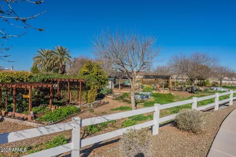 View/Area - 3037 E Hobart St, Gilbert, AZ 85296 photo 4 of 8