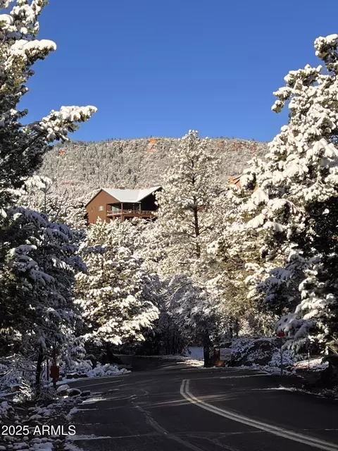 4332 N Lodge Pole Circle Cir, Pine, AZ 85544 photo 47