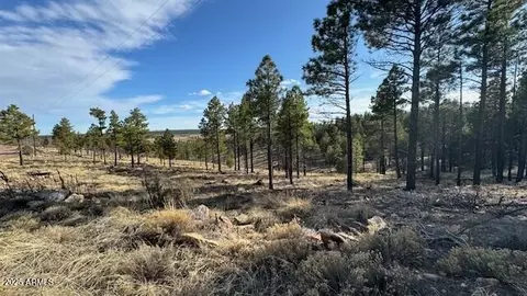 806 Eagle View Dr #29, Happy Jack, AZ 86024