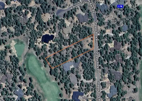 3993 W Shaggybark Rd #339, Show Low, AZ 85901