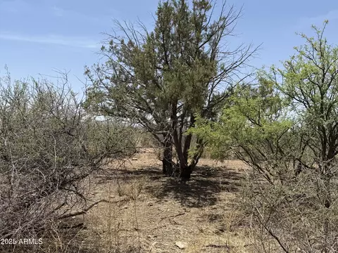 20 S Ac S Price Ranch Rd #-, Pearce, AZ 85625 photo 5