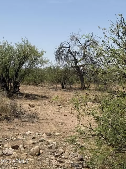 20 S Ac S Price Ranch Rd #-, Pearce, AZ 85625 photo 22